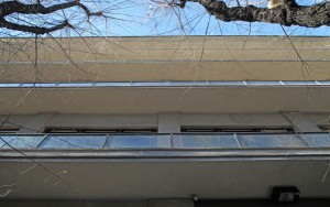 IMG_4996_B_LOW