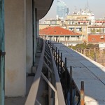 IMG_5665_B_low