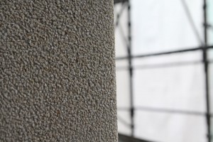 IMG_6610_low
