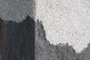 IMG_6636_low